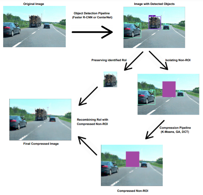 Selective Lossy Compression